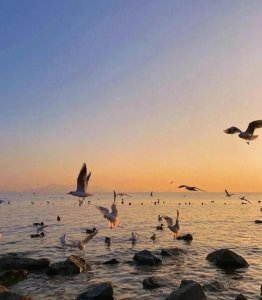 ​励志小故事，每日激励自己，鼓励自己！