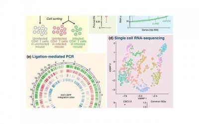 ​挽回出轨妻子：丈夫的实用策略与情感修复