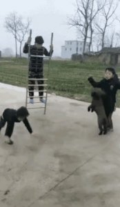 ​不要太搞笑GIF合集【49】