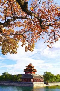 ​英语语法：被动语态