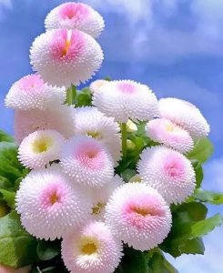 ​66幅大自然罕见的景观，开眼界了