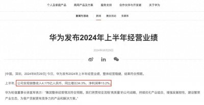 ​华为发布2024上半年财报，能赚到钱我真不眼红！