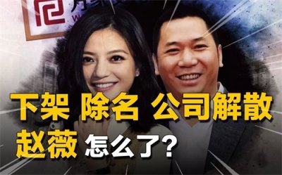 ​赵薇事件你不知道的那些事