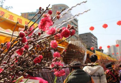 ​逛花街赏花灯过花样幸福年，2019广州花市攻略出炉