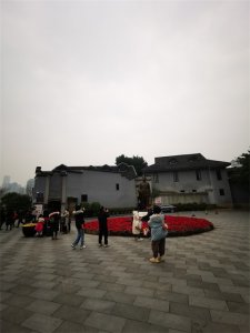 ​必看的重庆最美街道-中山四路