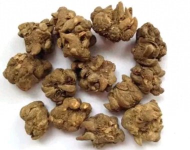 ​猫爪草4个黄金搭配，冲跑全身的结节，简单方便又省钱！