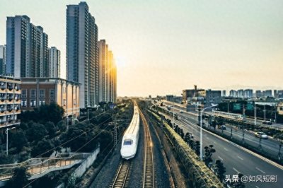 ​中铁集装箱运输有限责任公司2024年度新血液：高知人才汇聚