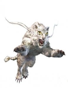 ​白虎，这个虎中异族，你真的了解吗？