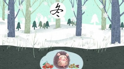 ​驱除寒冬病邪，三九灸怎么灸，是天天灸吗？一文讲清楚~