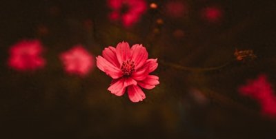 ​爱的真谛：床上只是开始