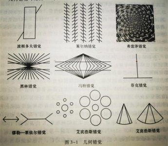 ​河南大学考研333教育综合——心理学：知觉的种类