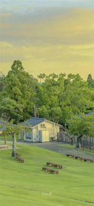 ​壁纸｜绿色系清新自然壁纸