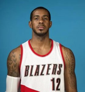 ​拉马库斯·阿尔德里奇生涯简历