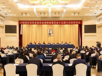 ​湖南民革：初心如磐担使命 奋楫笃行启新程