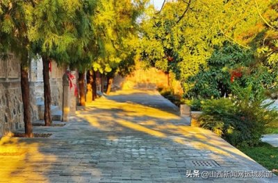 ​来河东池盐文化博览园寻找春天的第一抹踪迹