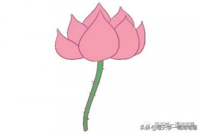 ​每天学一幅简笔画--荷花简笔画的画法步骤